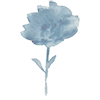 an illustration of a blue flower