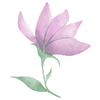 an illustration purple flower